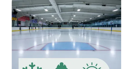 Graphique de la patinoire