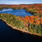 Linda Scott Swanston